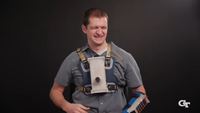 Google создала ИИ-модель DolphinGemma для общения с дельфинами