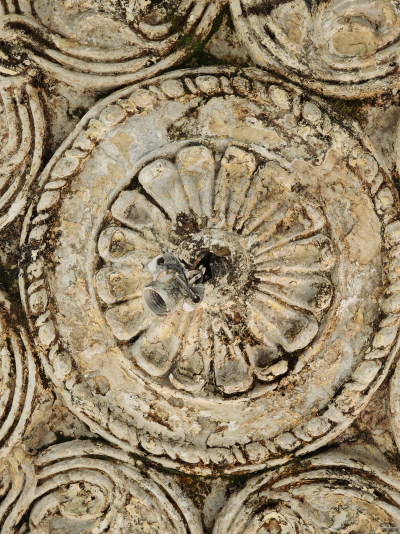 Обзор смартфона Xiaomi 15: горячая штучка