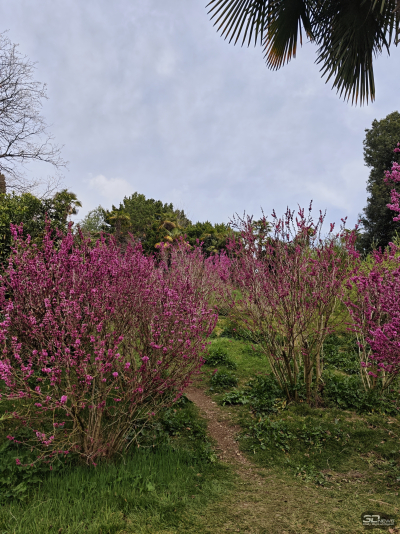 Обзор смартфона Xiaomi 15: горячая штучка