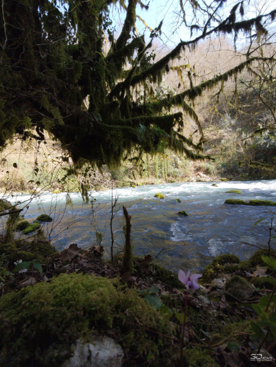 Обзор смартфона Xiaomi 15: горячая штучка