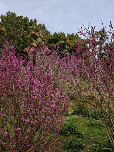 Обзор смартфона Xiaomi 15: горячая штучка