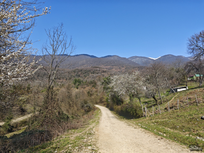 Обзор смартфона Xiaomi 15: горячая штучка