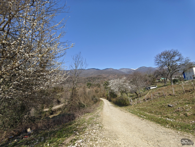 Обзор смартфона Xiaomi 15: горячая штучка