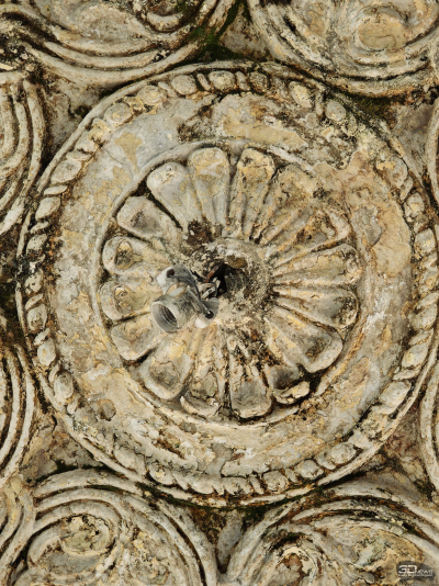 Обзор смартфона Xiaomi 15: горячая штучка