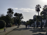 Обзор смартфона Xiaomi Redmi Note 14 Pro+ 5G: больше не по умолчанию