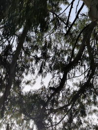 Обзор смартфона Xiaomi Redmi Note 14 Pro+ 5G: больше не по умолчанию