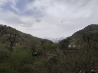 Обзор смартфона Xiaomi Redmi Note 14 Pro+ 5G: больше не по умолчанию