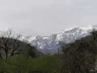 Обзор смартфона Xiaomi Redmi Note 14 Pro+ 5G: больше не по умолчанию