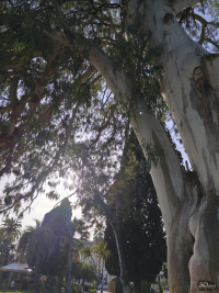 Обзор смартфона Xiaomi Redmi Note 14 Pro+ 5G: больше не по умолчанию