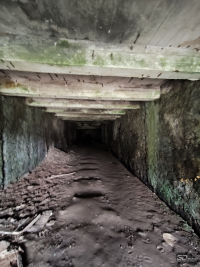 Обзор смартфона Xiaomi Redmi Note 14 Pro+ 5G: больше не по умолчанию