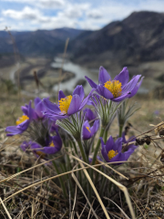 Samsung Galaxy S25 Ultra как инструмент тревел-блогера