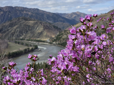 Samsung Galaxy S25 Ultra как инструмент тревел-блогера