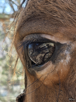 Samsung Galaxy S25 Ultra как инструмент тревел-блогера