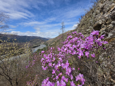 Samsung Galaxy S25 Ultra как инструмент тревел-блогера