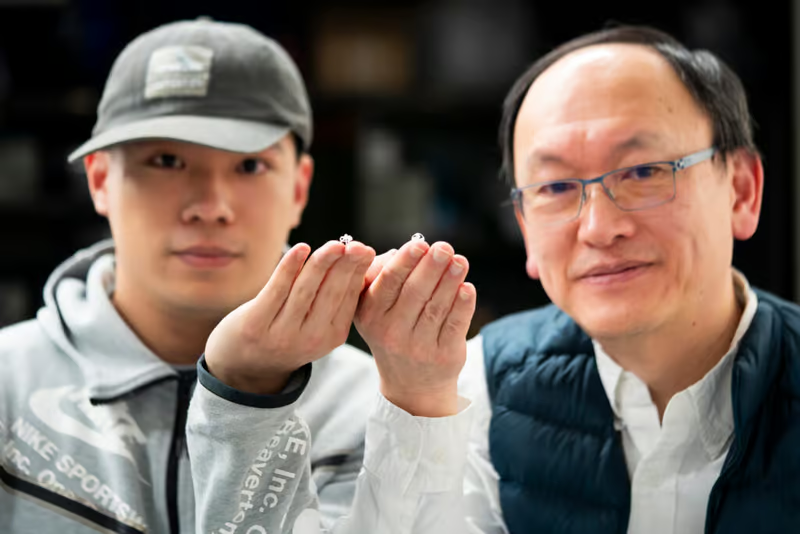 В США создали самого маленького в мире свободно летающего робота — в нём нет электроники