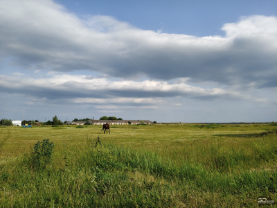 Обзор смартфона IQOO Z10: не ждите разрядки