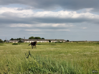 Обзор смартфона IQOO Z10: не ждите разрядки