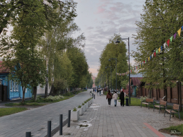 Сравнительный тест камер флагманских смартфонов (2025): Apple iPhone 16 Pro Max, HONOR Magic 7 Pro, HUAWEI Mate 70 Pro, Samsung Galaxy S25 Ultra, vivo X200 Pro, Xiaomi 15 Ultra