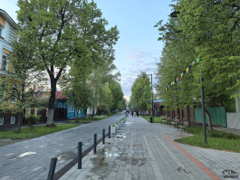 Сравнительный тест камер флагманских смартфонов (2025): Apple iPhone 16 Pro Max, HONOR Magic 7 Pro, HUAWEI Mate 70 Pro, Samsung Galaxy S25 Ultra, vivo X200 Pro, Xiaomi 15 Ultra