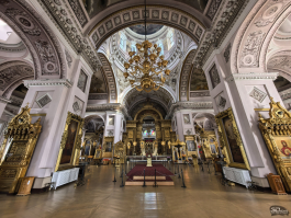 Сравнительный тест камер флагманских смартфонов (2025): Apple iPhone 16 Pro Max, HONOR Magic 7 Pro, HUAWEI Mate 70 Pro, Samsung Galaxy S25 Ultra, vivo X200 Pro, Xiaomi 15 Ultra