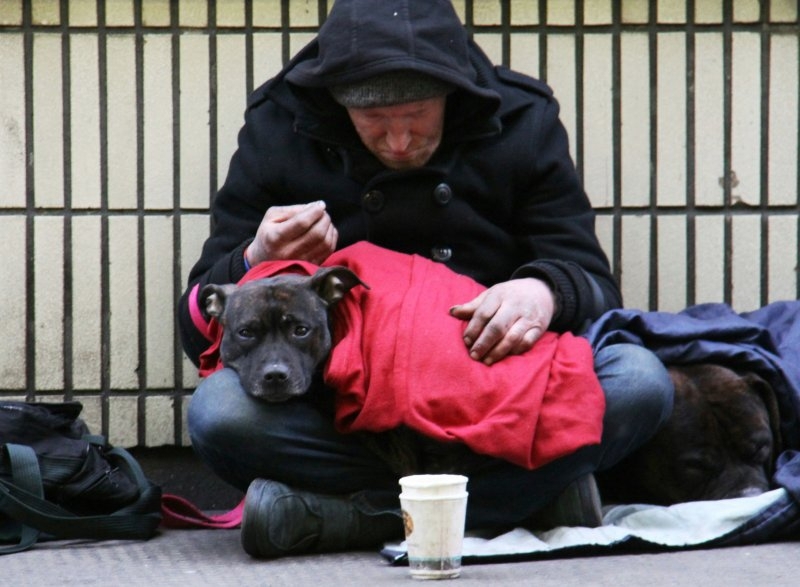 Их заменил ИИ: ведущие технологические компании уволили более 100 000 специалистов с начала года