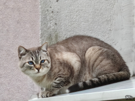 Обзор смартфона Nothing Phone (3): неординарный флагман с двумя экранами