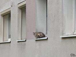 Обзор смартфона Nothing Phone (3): неординарный флагман с двумя экранами