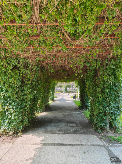 Обзор смартфона Nothing Phone (3): неординарный флагман с двумя экранами