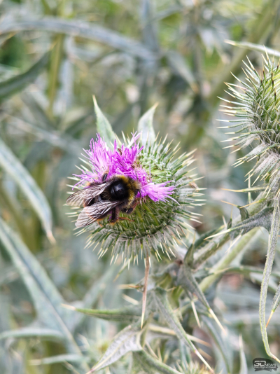 Обзор смартфона Nothing Phone (3): неординарный флагман с двумя экранами