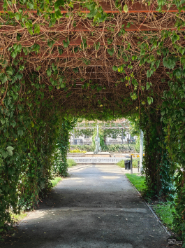 Обзор смартфона Nothing Phone (3): неординарный флагман с двумя экранами