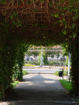 Обзор смартфона Nothing Phone (3): неординарный флагман с двумя экранами