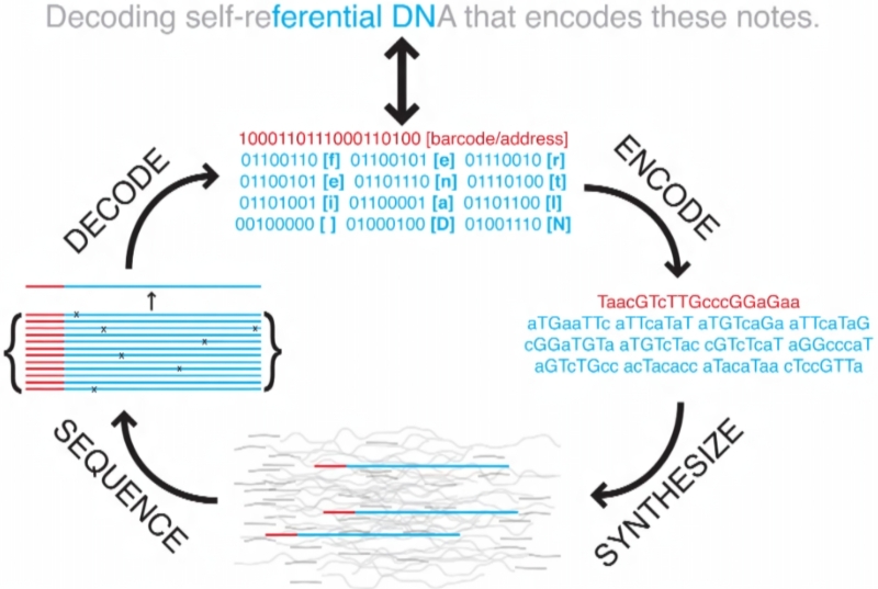 Хранение данных на молекулах ДНК: блажь или неизбежность?