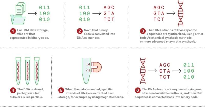 Хранение данных на молекулах ДНК: блажь или неизбежность?