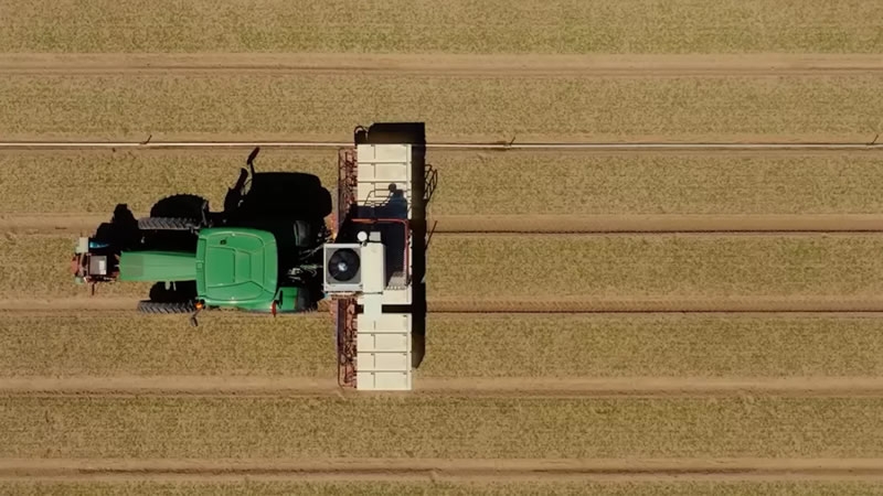 Сорняки на полях теперь буквально выжигают лазером — при чём здесь Nvidia?