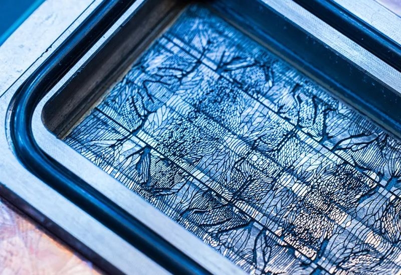 Microsoft испытала охлаждение чипов через микроканалы в кремнии, вдохновлённое крыльями бабочек