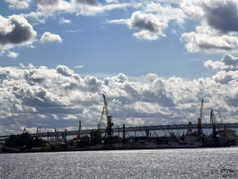 Обзор смартфона HUAWEI Pura 80: удобный флагман с «Алисой»