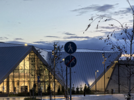 Обзор смартфона HUAWEI Pura 80: удобный флагман с «Алисой»