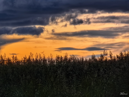 Обзор смартфона HUAWEI Pura 80: удобный флагман с «Алисой»