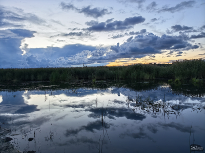 Обзор смартфона HUAWEI Pura 80: удобный флагман с «Алисой»