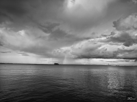 Обзор смартфона HUAWEI Pura 80: удобный флагман с «Алисой»