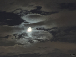 Обзор смартфона Apple iPhone 17 Pro Max: батя в городе