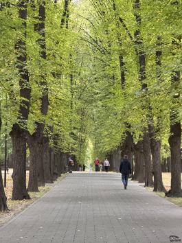 Обзор смартфона Apple iPhone 17 Pro Max: батя в городе