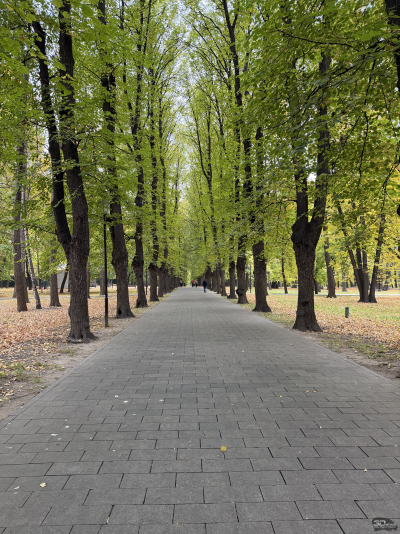 Обзор смартфона Apple iPhone 17 Pro Max: батя в городе