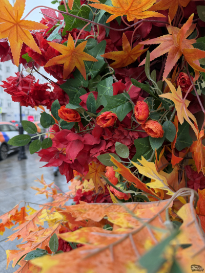 Обзор смартфона Apple iPhone 17 Pro Max: батя в городе