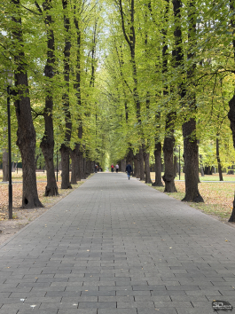 Обзор смартфона Apple iPhone 17 Pro Max: батя в городе