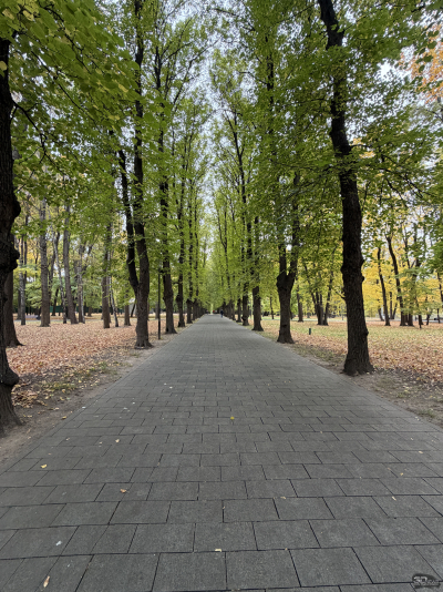 Обзор смартфона Apple iPhone 17 Pro Max: батя в городе