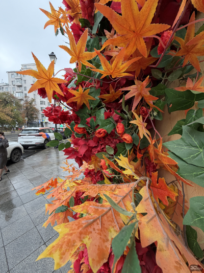 Обзор смартфона Apple iPhone 17 Pro Max: батя в городе