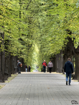 Обзор смартфона Apple iPhone 17 Pro Max: батя в городе