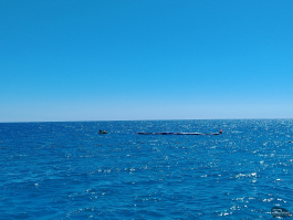 Обзор смартфона HONOR X7d: прочнее, дольше и с искусственным интеллектом