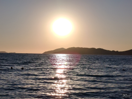 Обзор смартфона HONOR X7d: прочнее, дольше и с искусственным интеллектом